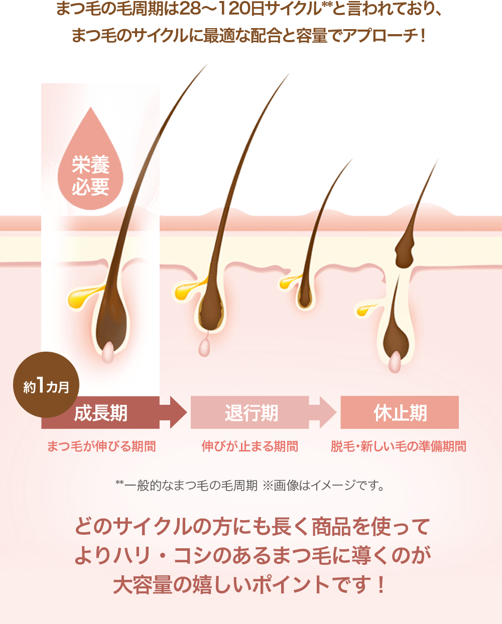 ヘアサイクルイメージ